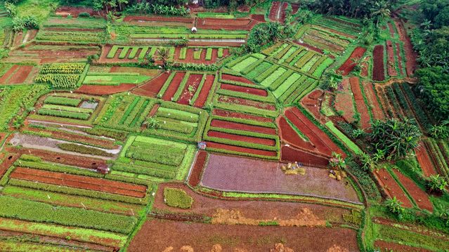 Provision of Experts and Project Management Unit Personnel for the GEF-7 Crop Diversity Conservation for Sustainable Use in Indonesia (CDCSUI) Project