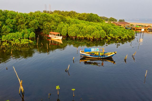 Livelihood Field School under the Mangroves for Coastal Resilience (M4CR) Project - North Sumatra Province, Lot 1