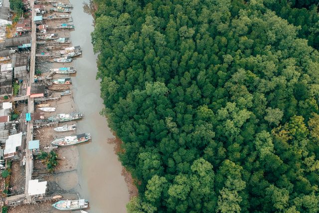 Livelihood Field School under the Mangroves for Coastal Resilience (M4CR) Project - Riau Province, Lot 2
